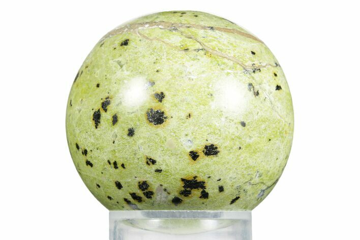 Polished Lizardite With Hematite Sphere #350142